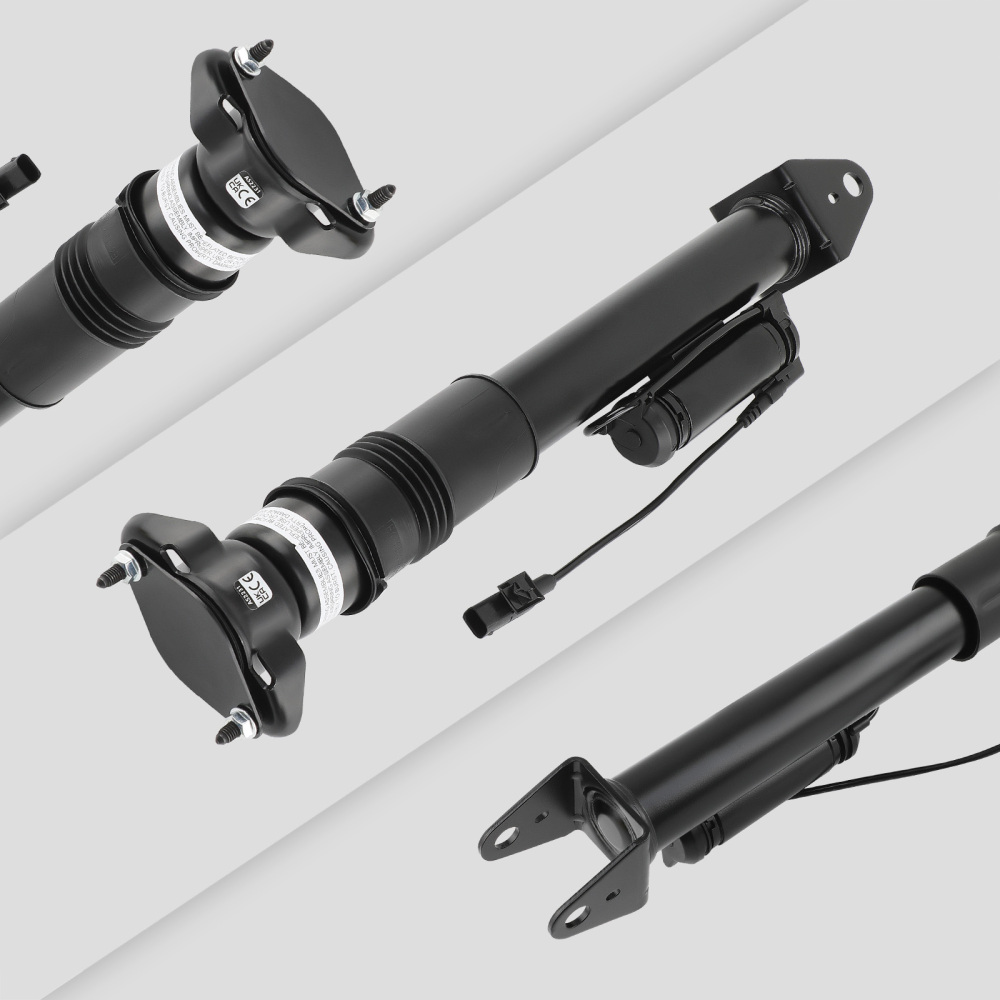 2X Rear Aire Suspensión Neumática compatible para Mercedes R Class W251 V251 R350 R320 R500