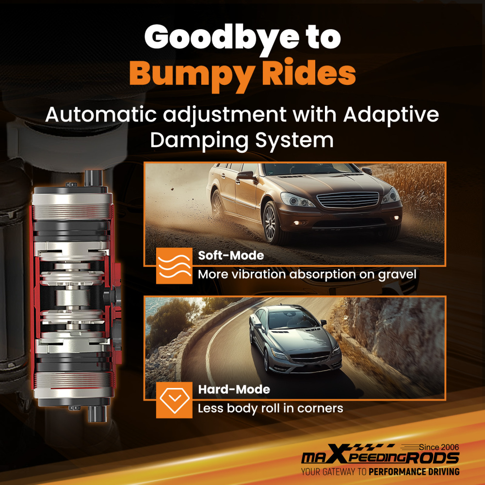 Airmatic Air Suspension Shock compatible for Mercedes W251 V251 R350 A2513203113 2513203113