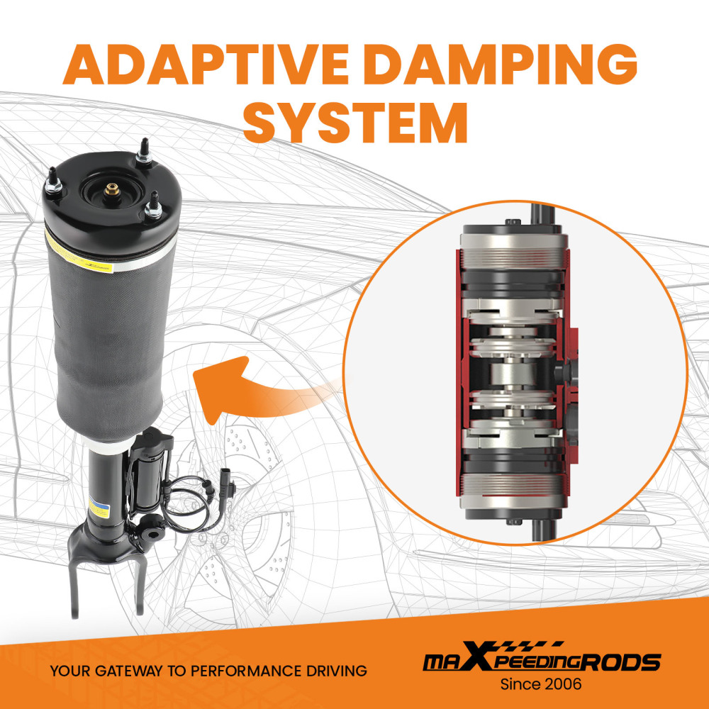 Airmatic Air Suspension Shock compatible for Mercedes W251 V251 R350 A2513203113 2513203113