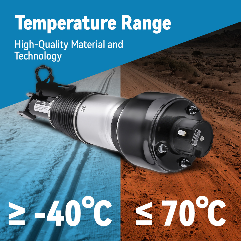 Compatible for Mercedes Benz CLS500 CLS550 Air Suspension Strut Shock 2113205513 Front Left