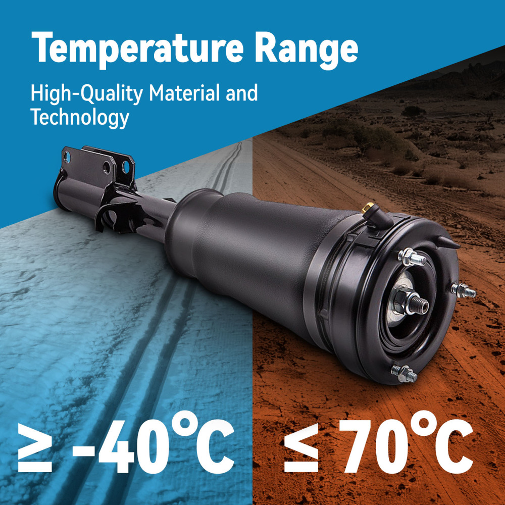 1x Aria MOLLA AMMORTIZZATORI Sospensioni Pneumatiche compatibile per BMW x5 e53 ANTERIORE SX