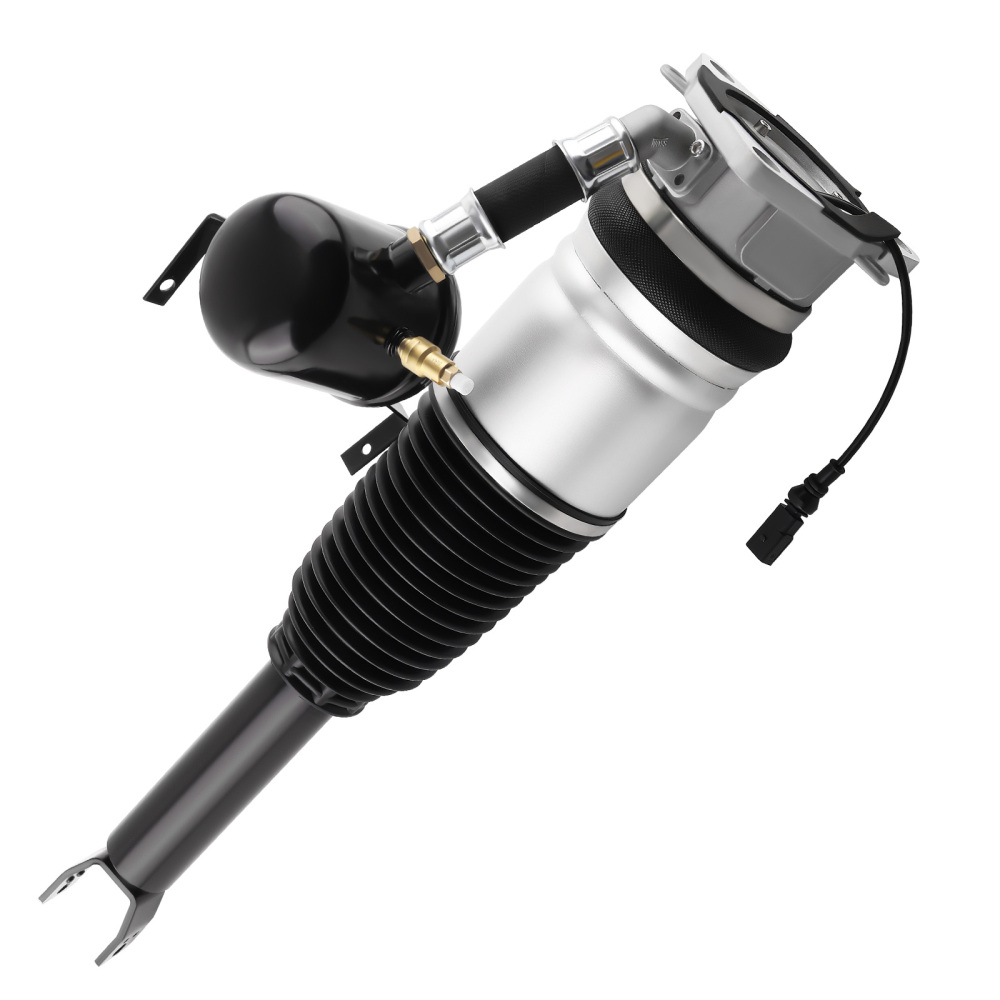 Ammortizzatore Posteriore sinistro compatibile per VW Phaeton 3D 2002-2016 4E0616001N