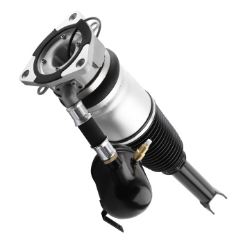 Ammortizzatore Posteriore sinistro compatibile per VW Phaeton 3D 2002-2016 4E0616001N