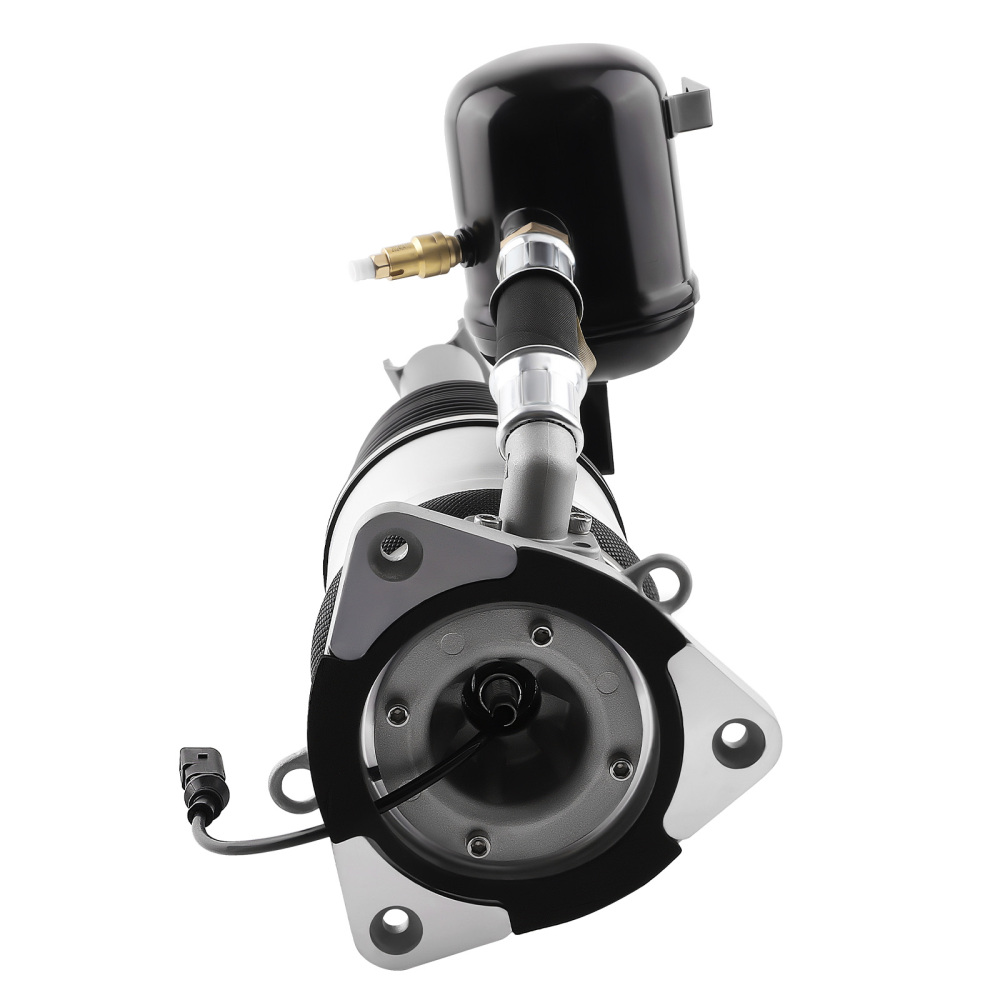 Ammortizzatore Posteriore sinistro compatibile per VW Phaeton 3D 2002-2016 4E0616001N