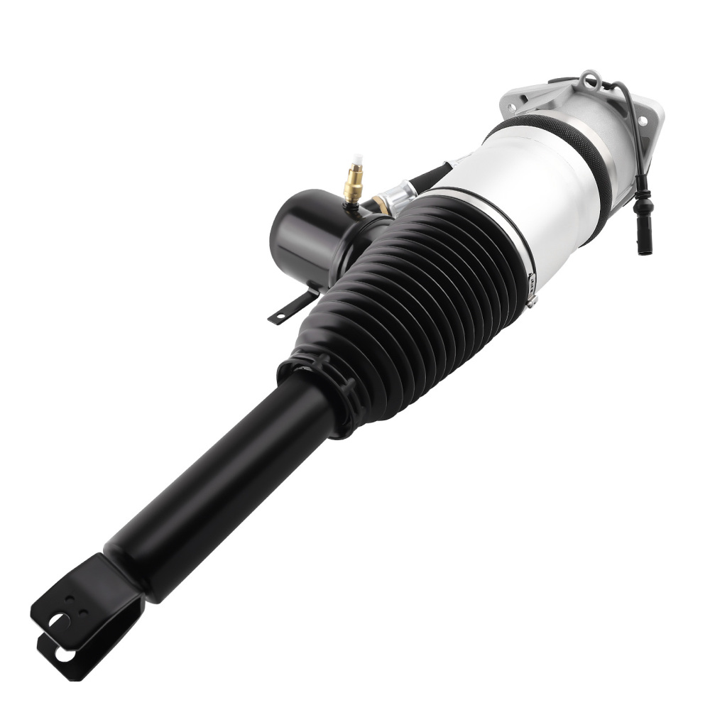 Ammortizzatore Posteriore sinistro compatibile per VW Phaeton 3D 2002-2016 4E0616001N