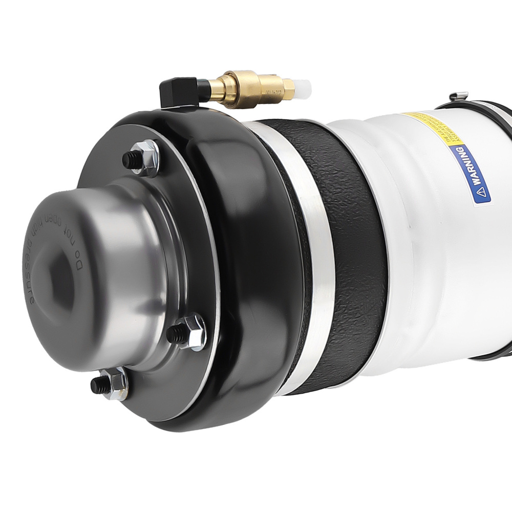 Nuovo compatibile per Audi A6 S6 4F0616039AA Anteriore Sinistra Aira sospensioni pneumatiche