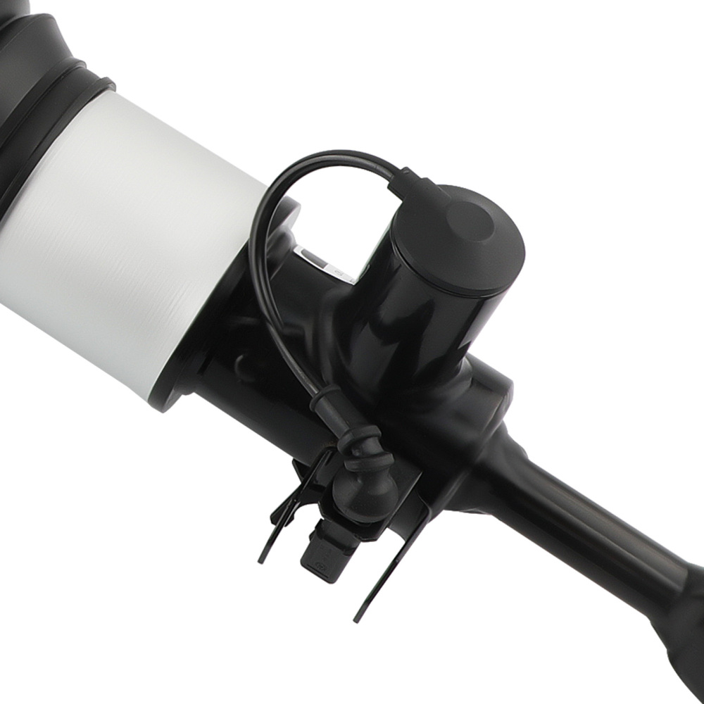 Ammortizzatore ad aria Struts Anteriore Sinistra Allroad compatibile per Audi A6 S6 C6 4F