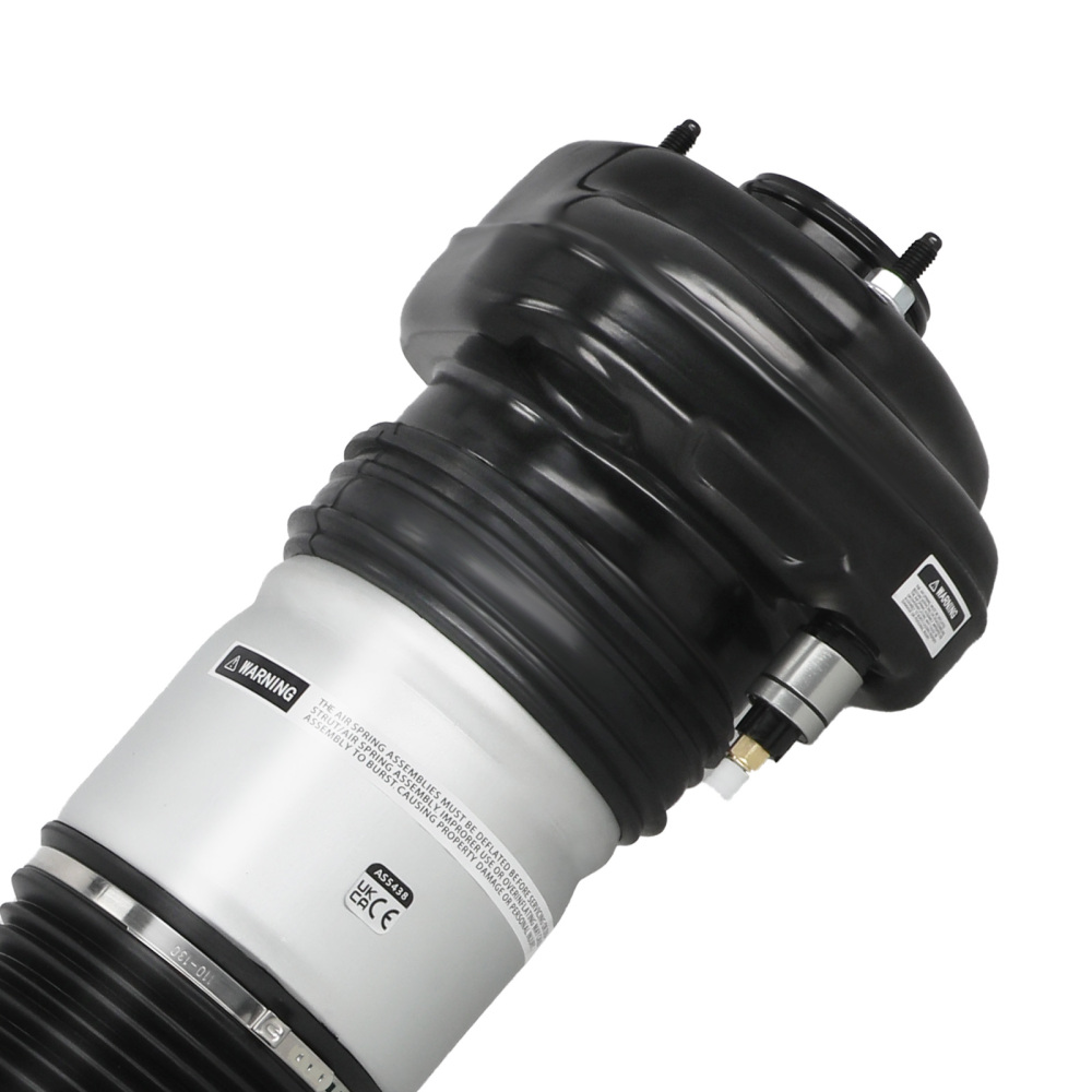 Ammortizzatore Posteriore Sinistro compatibile per BMW 7 G11, G12 2015-2020 37106874593