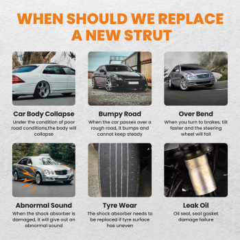 Sospensione Pneumatica Anteriore RNB501580 SX DX compatibile per Range Rover Sport LS