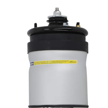 Rear Air Suspension Strut compatible for Land Rover Range Rover Sport LS