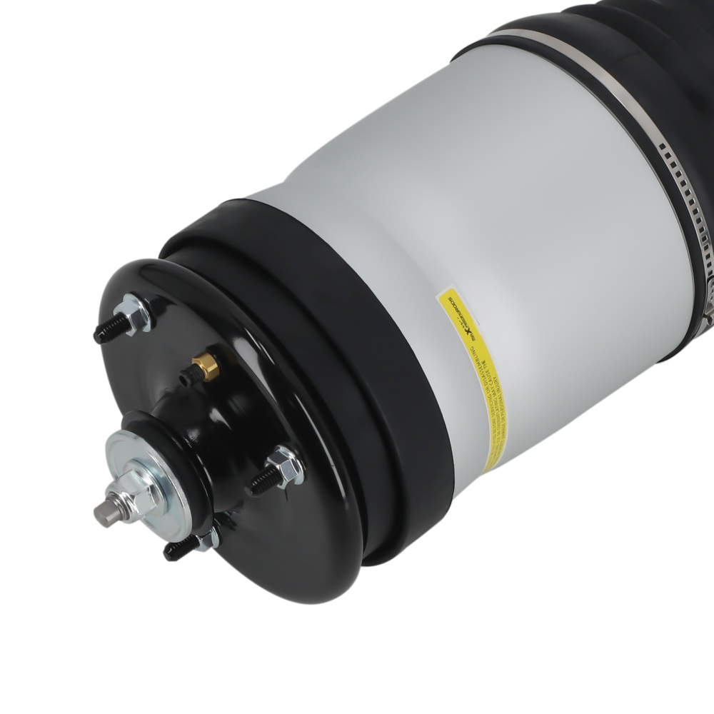 Rear Air Suspension Strut compatible for Land Rover Range Rover Sport LS