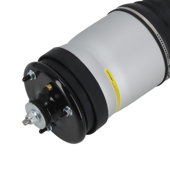 Rear Air Suspension Strut compatible for Land Rover Range Rover Sport LS