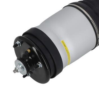 Rear Air Suspension Strut compatible for Land Rover Range Rover Sport LS