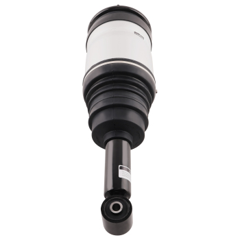 Rear Air Suspension Strut compatible for Land Rover LR3 LR4 RPD501090 RPD501110 RPD501030