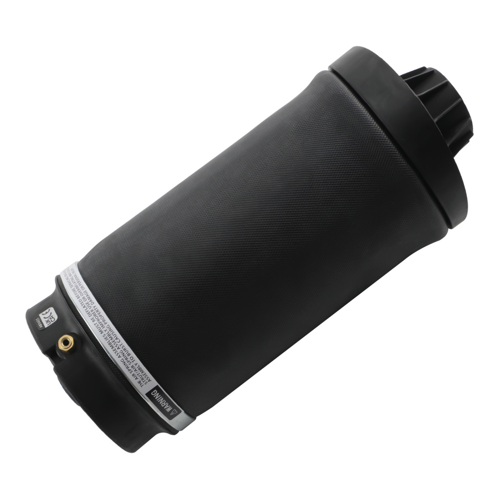 Arrière Suspension Pneumatique Air coussin compatible pour Mercedes R320/R350 A2513200425