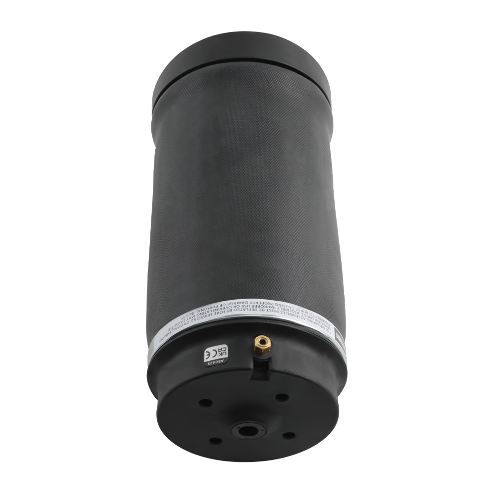 Arrière Suspension Pneumatique Air coussin compatible pour Mercedes R320/R350 A2513200425