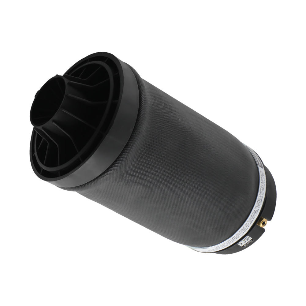 Arrière Suspension Pneumatique Air coussin compatible pour Mercedes R320/R350 A2513200425