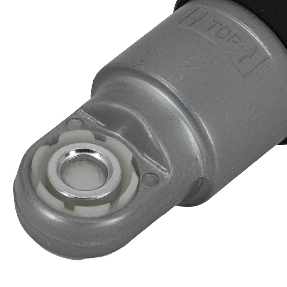 Tenditore Cinghia compatibile per BMW 318i 318is 318ti 1994-1995 1.8L l4 11281247051