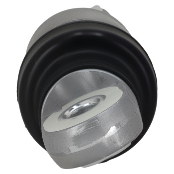 Tenditore Cinghia compatibile per BMW 318i 318is 318ti 1994-1995 1.8L l4 11281247051