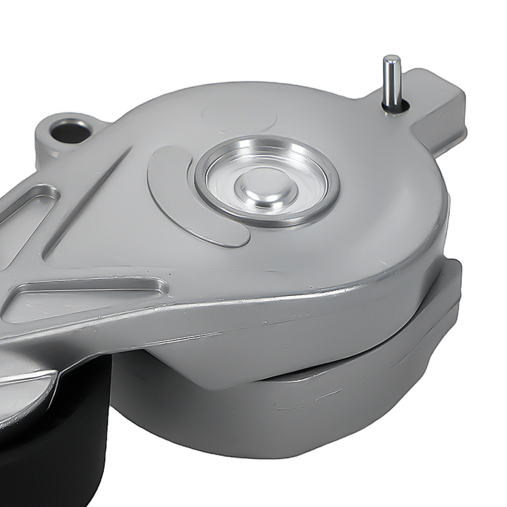 Kit Tenditore Cinghia compatibile per Audi A3 1.9 TDI 2000-2003 038903315AE Acciaio