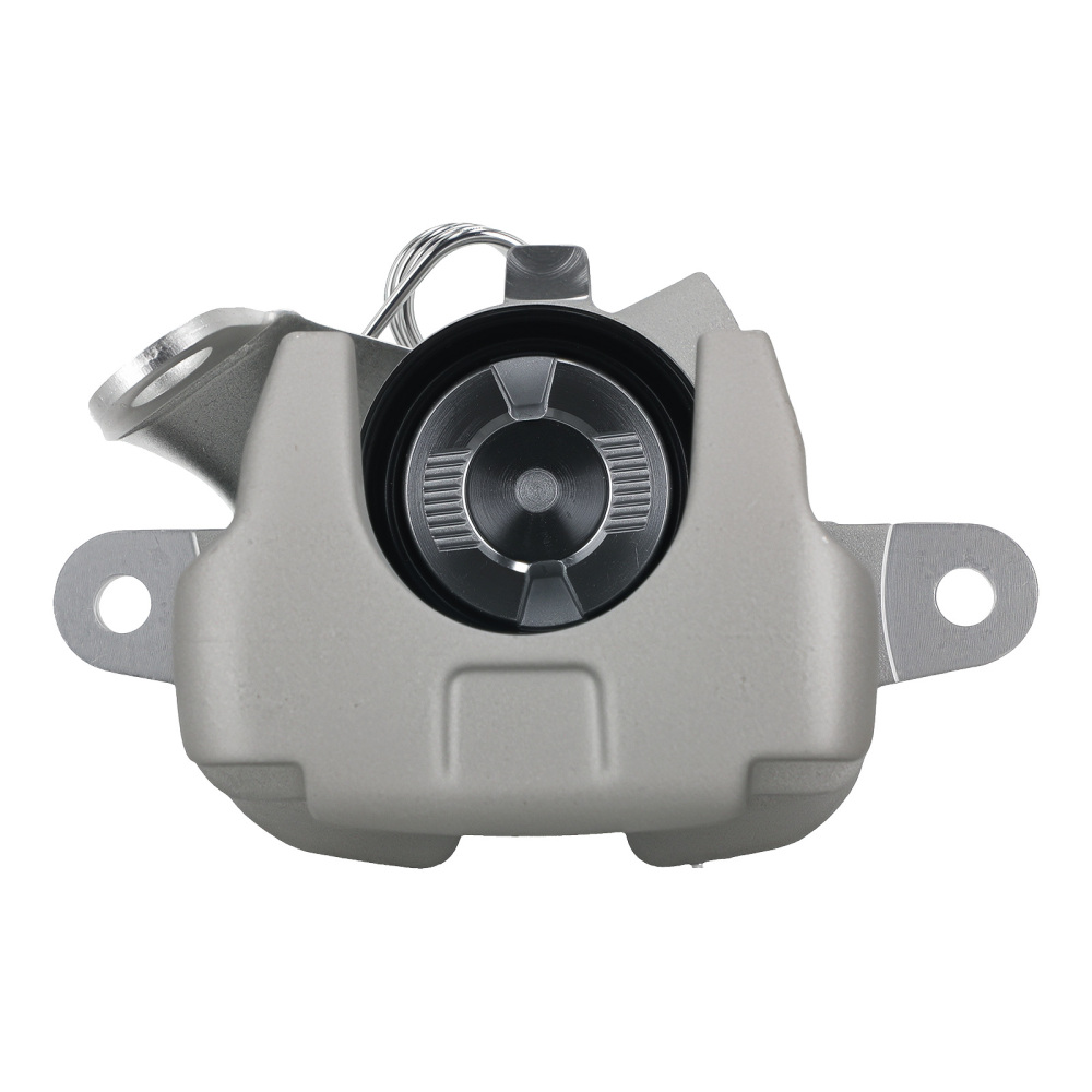 Pinza Freno Posteriore Sinistro compatibile per Citroen C4 LA Coupe 04-11 compatibile per Peugeot 307 00-19