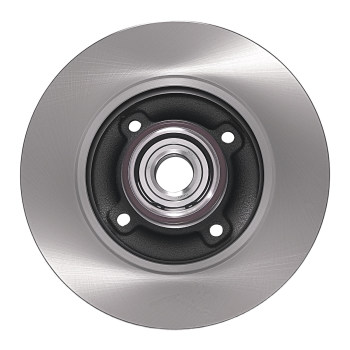 Rear LR Solid Brake Discs compatible for Peugeot 2008/Compatible for Citroen DS3/Compatible for Vauxhall 2009-19 424919