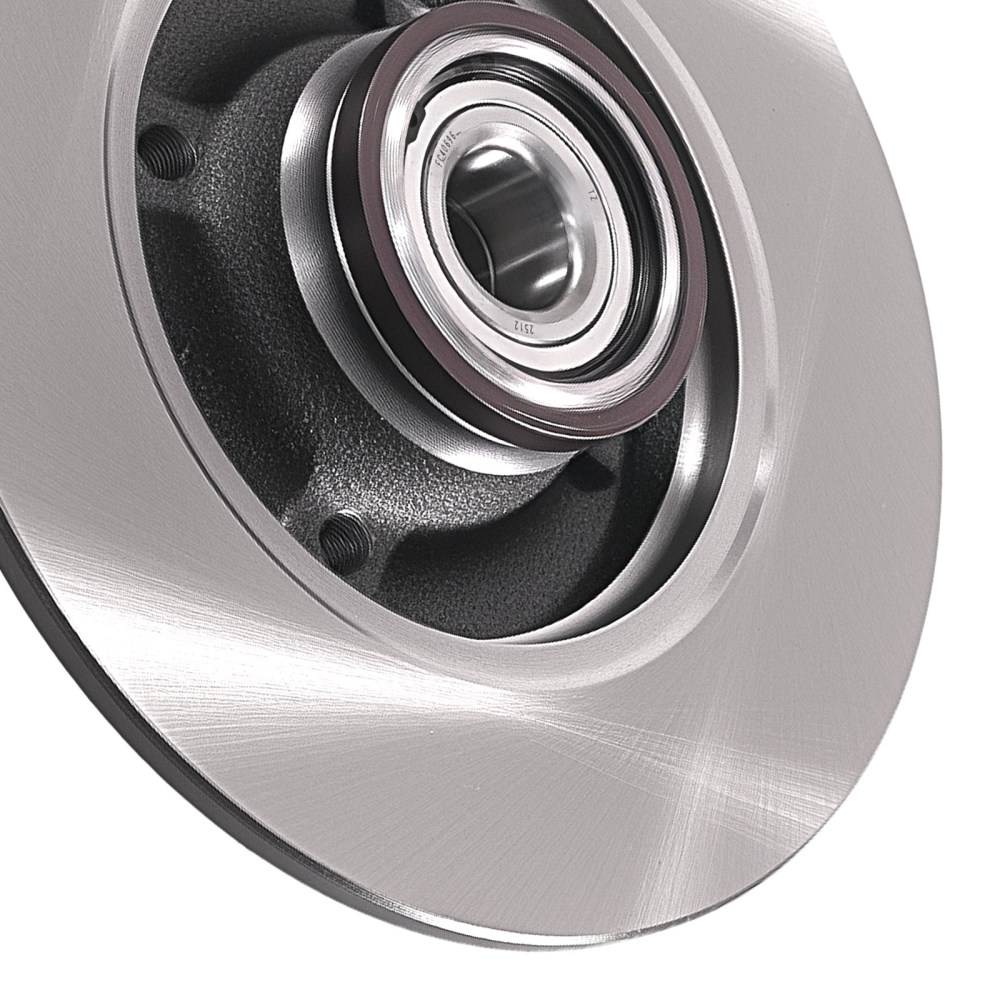 Rear LR Solid Brake Discs compatible for Peugeot 2008/Compatible for Citroen DS3/Compatible for Vauxhall 2009-19 424919