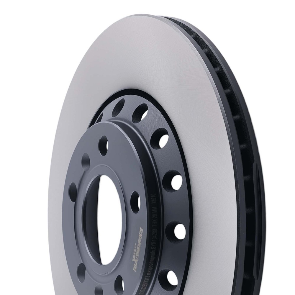 Pair Rear Brake Disc LeftRight compatible for AUDI A8 D3 4E2 4E8 02-10 3D0615601D 310mm