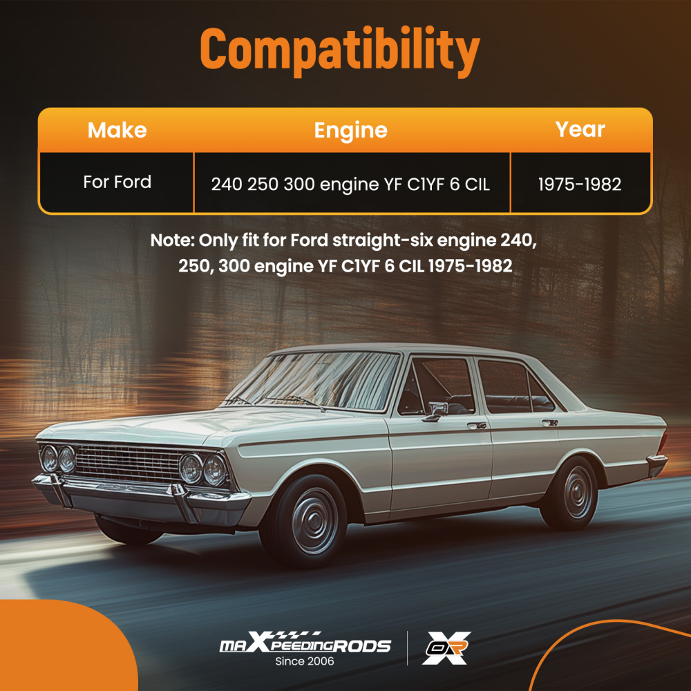 1975-1982 compatible for Ford YF Type for Carter 240-250-300 6 Cylinder D5TZ9510AG Carburetor