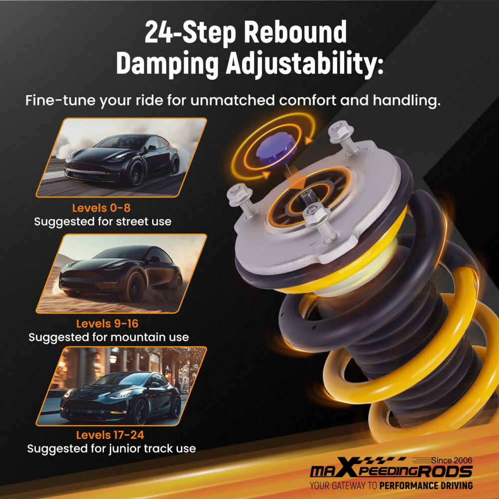 24 Way Damper Coilovers Strut Kit w/ EIBACH Springs compatible for Tesla model 3 2017+ AWD