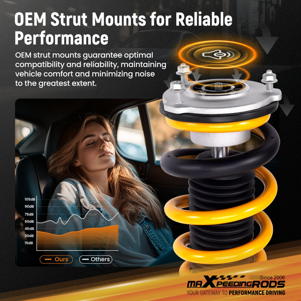 24 Way Damper Coilovers Strut Kit w/ EIBACH Springs compatible for Tesla model 3 2017+ AWD