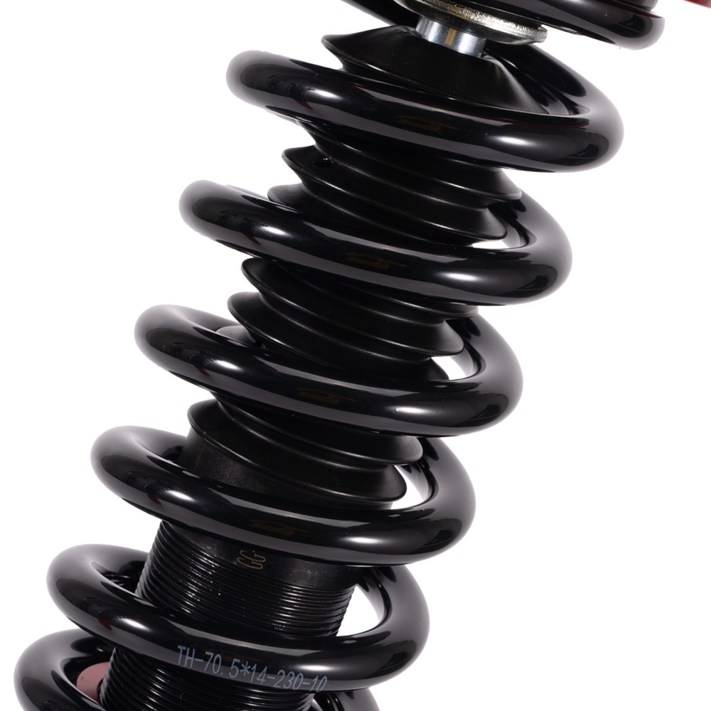 Rear Coilovers 24 Way Damper Lowering Kit compatible for HONDA ACCORD 98-02 compatible for ACURA TL 99-03