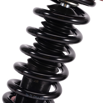 Rear Coilovers 24 Way Damper Lowering Kit compatible for HONDA ACCORD 98-02 compatible for ACURA TL 99-03