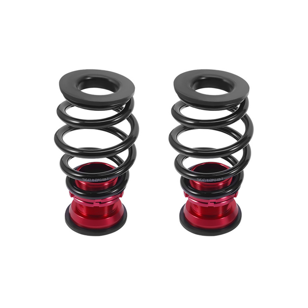 Rear Adjustable Coilovers 24 Way Damping Kit compatible for Honda Civic 12-15 FG FB