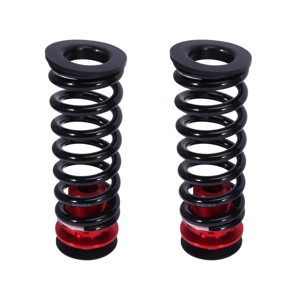 2x Rear Coilover Suspension Kit compatible for BMW 3 SERIES F30 / 4-Series F32 F33 F36 AWD