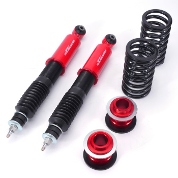 Assetto Regolabile Molle posteriore Ammortizzatori compatibile per Ford Mustang S197