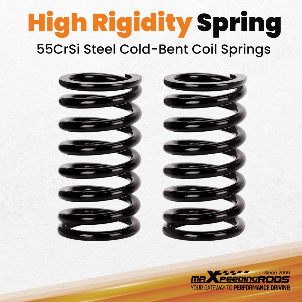 Rear Coilovers compatible for Holden Commodore VF Sedan Wagon Ute 13-17 Twin Tube