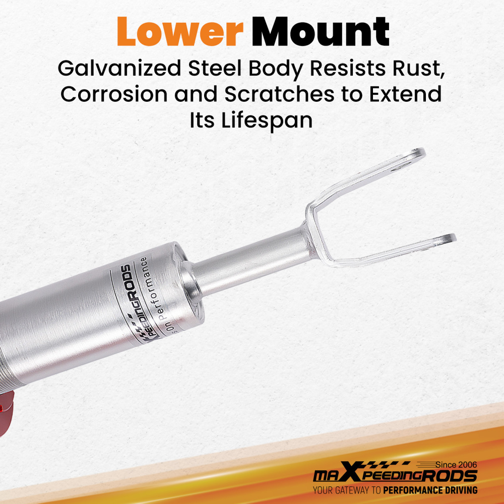 Coilovers Front Suspension compatible for Audi A4 B6 / B7 8E 8H AvantSedan Convertible