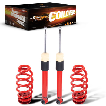 Rear Coilovers Lowering Kit compatible for Audi A4 B6 B7 2000-2009 8H 8E