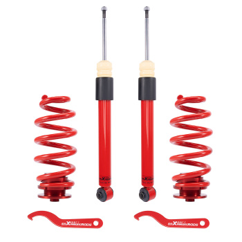 Assetto Regolabile Ghiera posteriore compatibile per Audi A4 B6 B7 8E 8H 1.8 T quattro 2.0