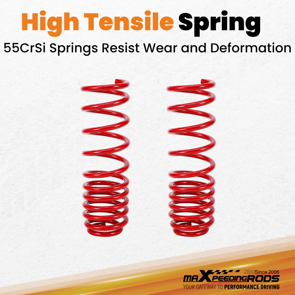 Rear Coilovers compatible for BMW 5 Series E39 1995-2004 Saloon 520i 523i 525i 540i 525tds
