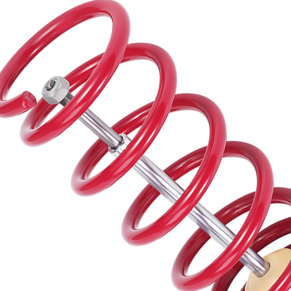 Rear Coilovers Suspension Kit compatible for BMW 5 E39 1995-2003 Sedan 520i525 528 530