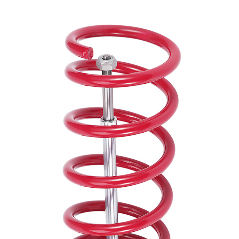 Rear Coilovers Suspension Kit compatible for BMW 5 E39 1995-2003 Sedan 520i525 528 530