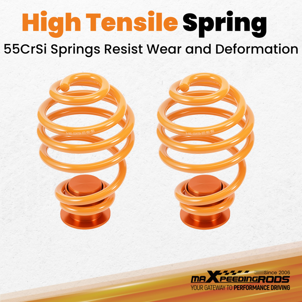 Adjustable Lowering Suspension Coilovers Kit compatible for VW Passat 3B 3BG Coilovers