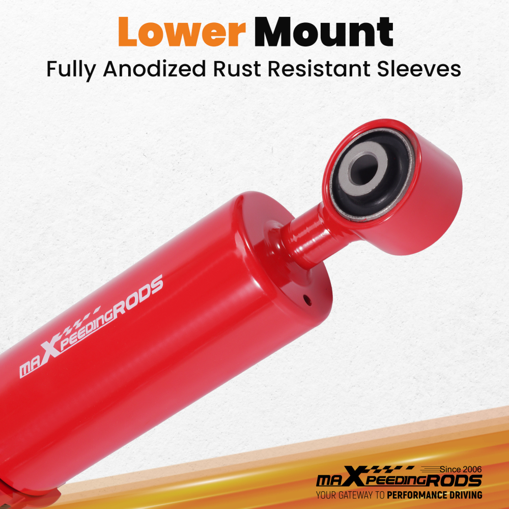 Ammortizzatori compatibile per LEXUS IS3002001-2005 Suspension kits Lowering Kit