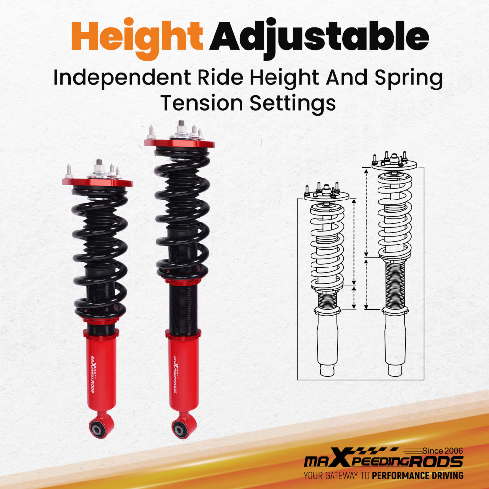 Ammortizzatori compatibile per LEXUS IS3002001-2005 Suspension kits Lowering Kit