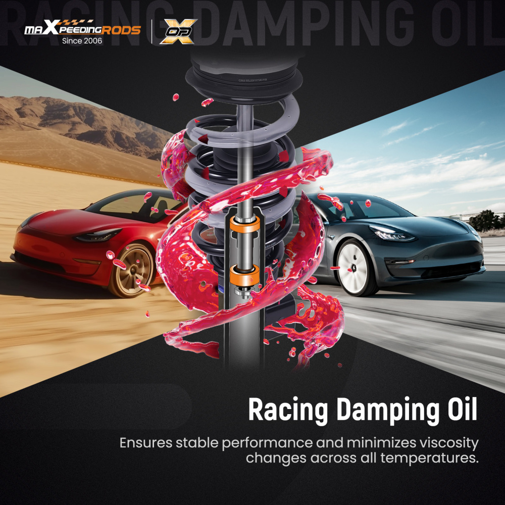 Quick Install Coilovers Suspension Lowering Kit compatible for Tesla Model 3 RWD 2017+