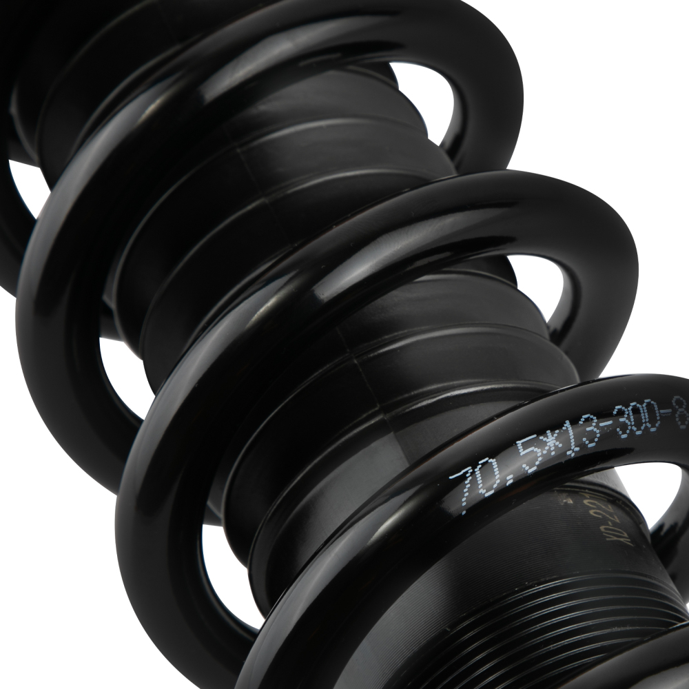 Compatible for BMW X5 E53 2000 - 2006 Adjustable Height Struts Front Coilovers Shocks and Springs lowering kit