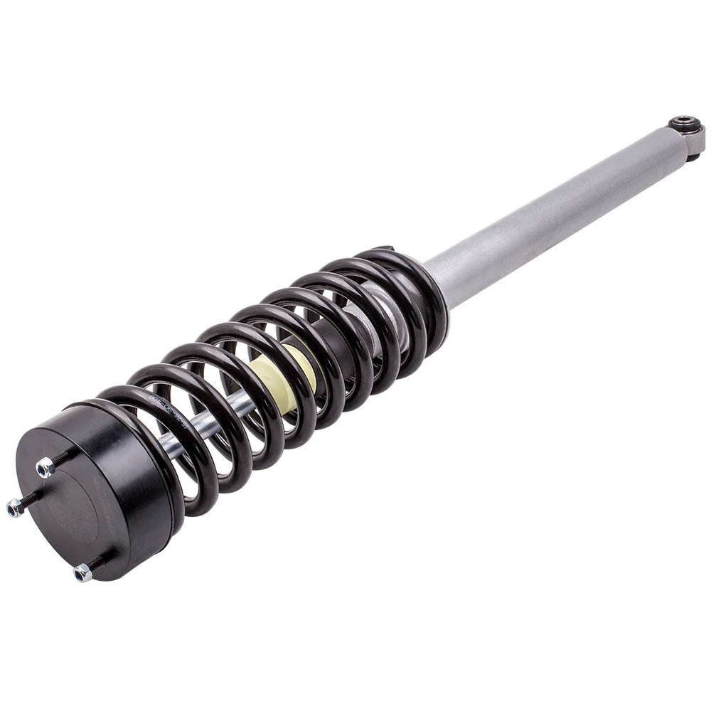 Posteriore Airmatic to Coil Spring Suspension compatibile per Mercedes W220 S Class S600 Lowering Kit