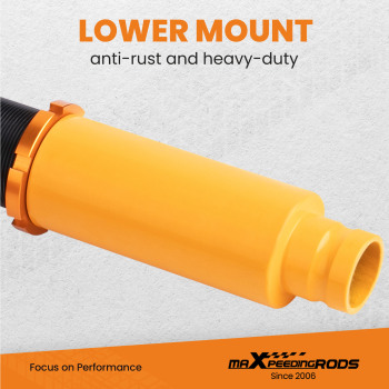 Adjustable Height Coilovers Kits compatible for Honda Accord 1998 - 2002 compatible for Acura TL CL 1999 - 2003 lowering kit